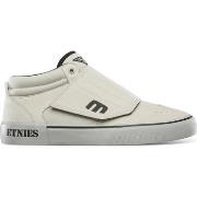 Chaussures de Skate Etnies ANDY ANDERSON WHITE GREY