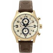 Montre Timberland Montre Homme TBL.15357JSK-07 (Ø 44 mm)