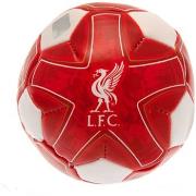 Accessoire sport Liverpool Fc BS3308