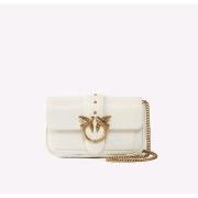 Sac Bandouliere Pinko 100061 A0F1