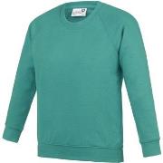 Sweat-shirt enfant Awdis RW6682