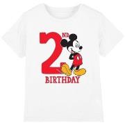 T-shirt enfant Disney TV3199