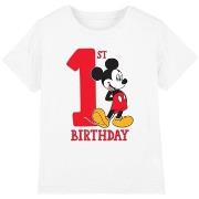 T-shirt enfant Disney TV3253