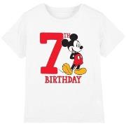 T-shirt enfant Disney TV3289