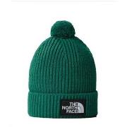 Casquette The North Face NF0A3FN3