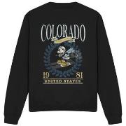 Sweat-shirt Disney Colorado Ski