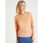 Pull Daxon by - Pull maille encolure ronde