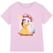 T-shirt enfant Dessins Animés Birthday Princess