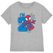 T-shirt enfant Marvel TV4043