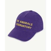 Casquette enfant The Animals Observatory S21183