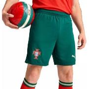 Short Puma Portugal FPF Replica