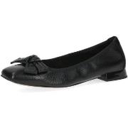 Ballerines Caprice -