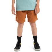 Short enfant Quiksilver Taxer