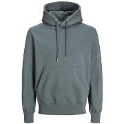 Sweat-shirt Jack &amp; Jones 178238VTPE25