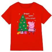 T-shirt enfant Dessins Animés TV5029