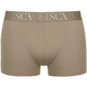 Boxers Lisca Boxer Odysseus