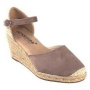 Chaussures Amarpies Zapato señora 26484 acx taupe