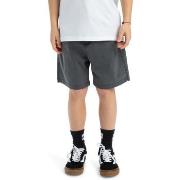 Short enfant Quiksilver Taxer Youth 15"