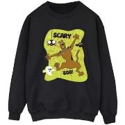 Sweat-shirt Scooby Doo Scary Boo!