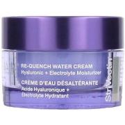 Hydratants &amp; nourrissants Strivectin Re-quench Water Cream