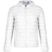 Blouson Invicta 4431269 / U