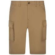 Short Timberland 163503VTPE24