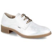 Derbies Dorking d9456