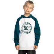 Sweat-shirt enfant DC Shoes DC Corpo