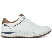 Baskets basses Kangaroos SNEAKERS 843