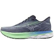 Chaussures Mizuno -