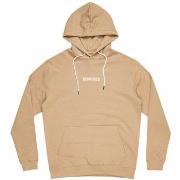 Sweat-shirt DC Shoes SHOES - Sweat à capuche - beige