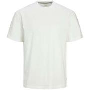 T-shirt Premium By Jack &amp; Jones 176924VTPE25