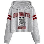 Sweat-shirt Harry Potter Hogwarts