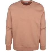 Sweat-shirt Colorful Standard Colourful Standard Pull Marron