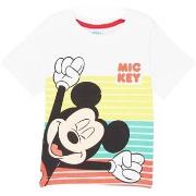 T-shirt enfant Disney T-shirt Garçon Blanc