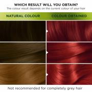 Garnier Nutrisse Permanent Hair Dye (Verschillende tinten) - 6.60 Ultr...