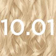 Garnier Nutrisse Permanent Hair Dye (Verschillende tinten) - 10.01 Bab...