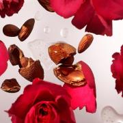 Rituals The Ritual of Ayurveda Indian Rose & Sweet Almond Oil Refill H...