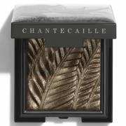 Chantecaille Luminescent Eye Shade 2.5g (Various Shades) - Rhinoceros