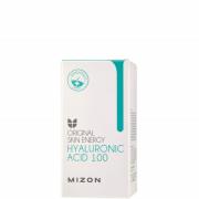 MIZON Hyaluronic Acid 100 30ml