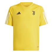 Functioneel shirt 'Juventus Turin Tiro 23'