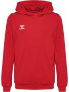 Sportief sweatshirt 'Authentic'