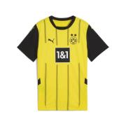 Tricot 'Borussia Dortmund 2024/2025'