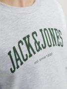 Sweatshirt 'JJEJosh'