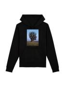 Sweatshirt 'Pink Floyd Tree Head'