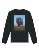 Sweatshirt 'Pink Floyd Tree Head'