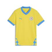 Functioneel shirt 'Eintracht Braunschweig 24/25'