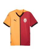 Functioneel shirt 'Galatasaray SK 24/25'