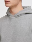 Sweatshirt 'Ravn'