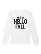 Sweatshirt 'Hello Fall'